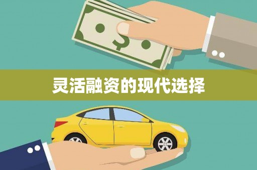 淮阳灵活融资的现代选择