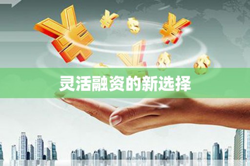 淮阳灵活融资的新选择