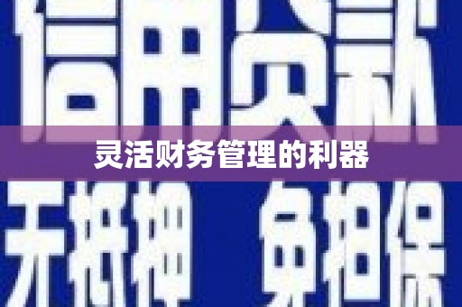 淮阳灵活财务管理的利器