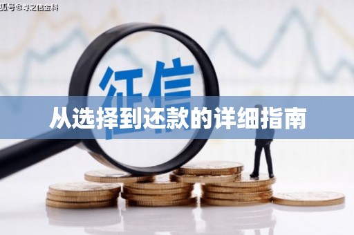 淮阳从选择到还款的详细指南