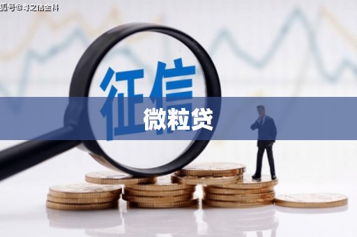 淮阳微粒贷