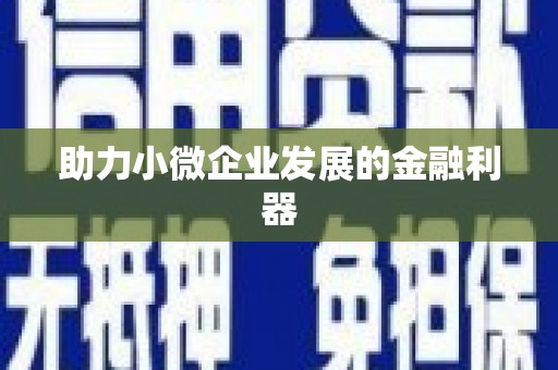 淮阳助力小微企业发展的金融利器