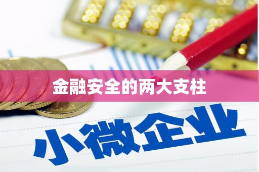 淮阳金融安全的两大支柱