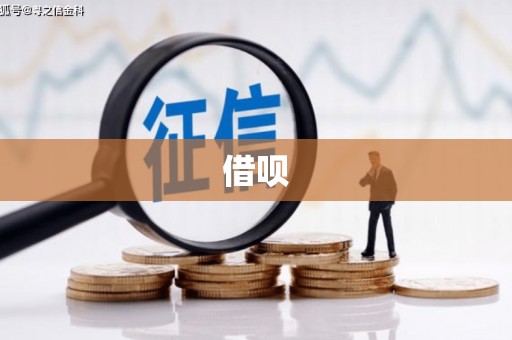 淮阳借呗