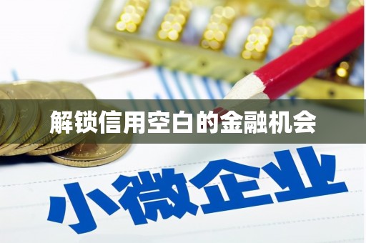 淮阳解锁信用空白的金融机会