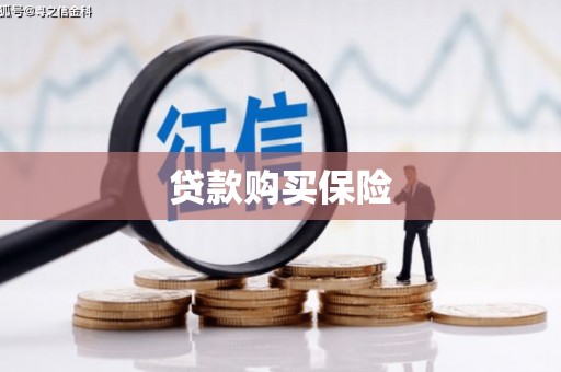 淮阳贷款购买保险
